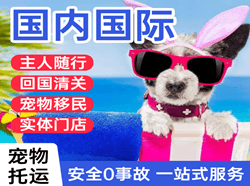 遵义茅台航空货运国际宠物托运 【国